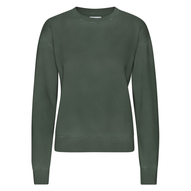 Colorful Standard | Organic Sweatshirt | Midnight Forest
