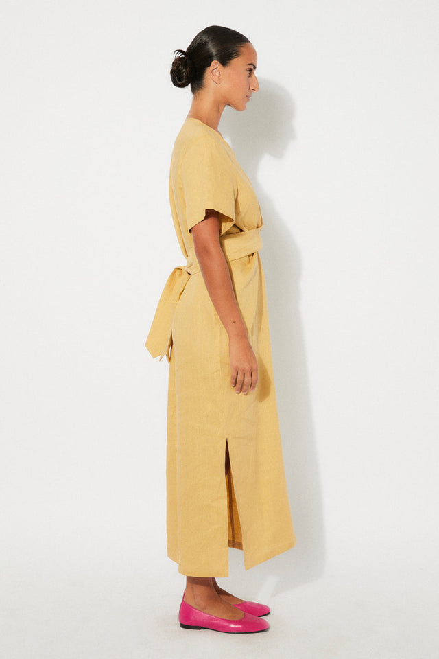 Rita Row | DAPPLE Dress | Pineapple