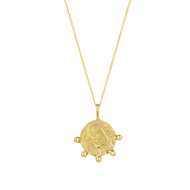 Wild Fawn | Coin Fragment Necklace